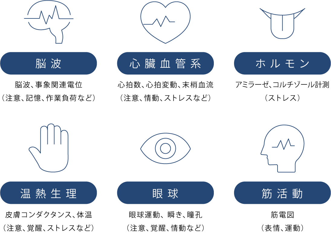 脳波、心臓血管系、ホルモン、温熱生理、眼球、筋活動